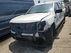 1FT6W1B74RWG07733 2024 FORD F-150