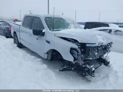 1FT6W3LU1SWG17707 2025 FORD F-150