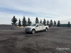 1FT7W2B61KEG60919 2019 FORD F250