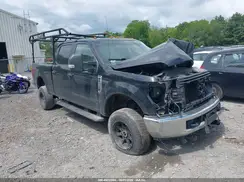 1FT7W2B64KEG22486 2019 FORD F250