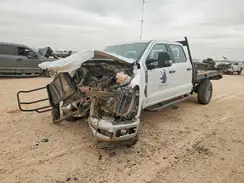1FT7W2BA7PED71121 2023 FORD F250