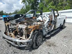 1FT7W2BA7RED09138 2024 FORD F250