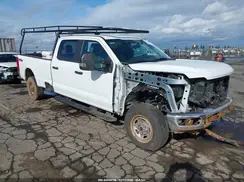 1FT7W2BA9RED14115 2024 FORD F250