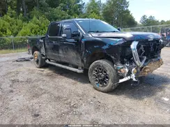 1FT7W2BN4RED50779 2024 FORD F250