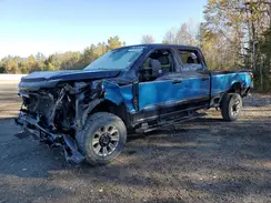 1FT7W2BN7REF14252 2024 FORD F250