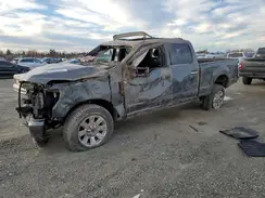 1FT7W2BT1LEE45290 2020 FORD F250