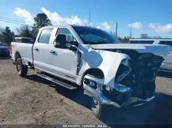 1FT7W2BT4REE02748 2024 FORD F250