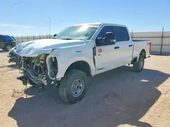 1FT7W2BT7SED89323 2025 FORD F250
