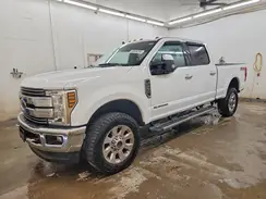 1FT7W2BT8KEC04745 2019 FORD F250