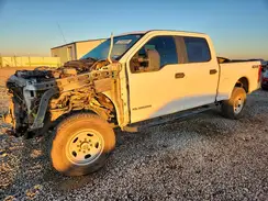 1FT7W2BT9HED25891 2017 FORD F250