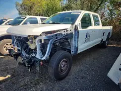 1FT8W2BA0PED17115 2023 FORD F250