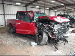 1FT8W2BM2REF81904 2024 FORD F250