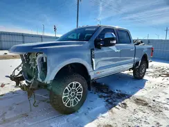 1FT8W2BM5RED58384 2024 FORD F250