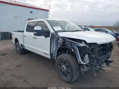 1FT8W2BM5REF33829 2024 FORD F250