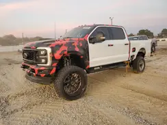 1FT8W2BM7REE19279 2024 FORD F250