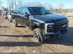 1FT8W2BM7REE63122 2024 FORD F250