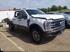 1FT8W2BM8SED96195 2025 FORD F250