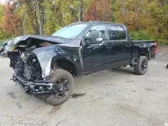 1FT8W2BN8REE54034 2024 FORD F250