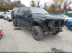 1FT8W2BN9PED83679 2023 FORD F250
