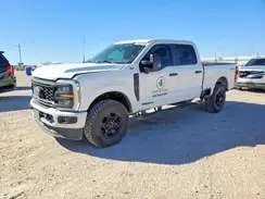 1FT8W2BT0RED65248 2024 FORD F250