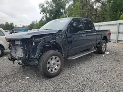 1FT8W2BT0REF73033 2024 FORD F250