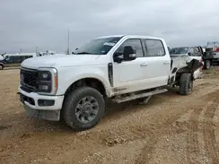 1FT8W2BT4PED16132 2023 FORD F250
