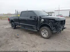 1FT8W2BT7RED16919 2024 FORD F250