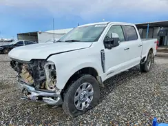1FT8W2BT8RED91113 2024 FORD F250