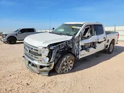 1FT8W2BT8REE41962 2024 FORD F250