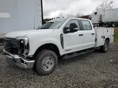 1FT8W2BT8REF06681 2024 FORD F250