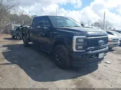 1FT8W2BTXREE40361 2024 FORD F250