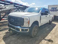 1FT8W2BTXREF44896 2024 FORD F250