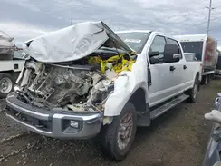 1FT8W3B65LEC07656 2020 FORD F350