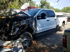1FT8W3BA6RED61497 2024 FORD F350