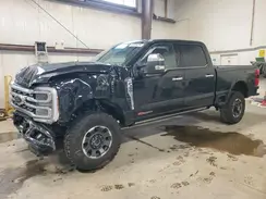 1FT8W3BM9RED38595 2024 FORD F350