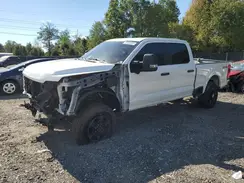 1FT8W3BN5RED02914 2024 FORD F350