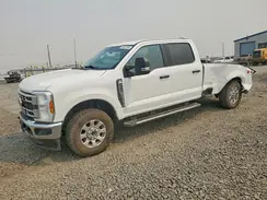 1FT8W3BN5REE10238 2024 FORD F350