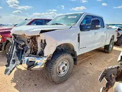 1FT8W3BT4MEE09007 2021 FORD F350