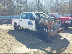 1FT8W3BTXREF98091 2024 FORD F350