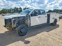 1FT8W3DA8PEC61007 2023 FORD F350