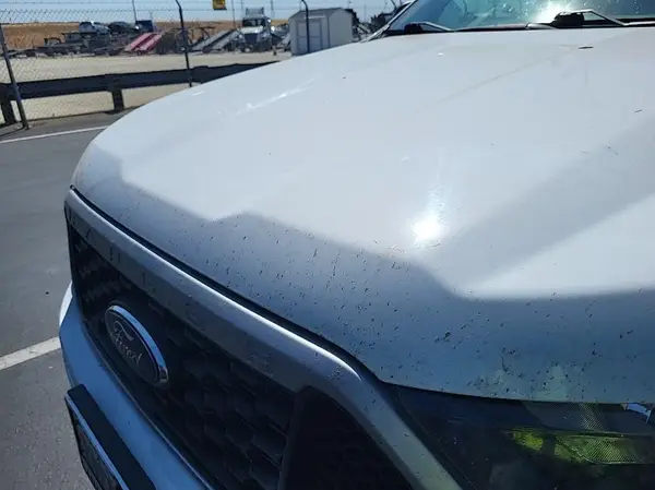 1FTER1EH1LLA16114 2020 FORD RANGER - Image 2