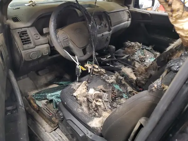 1FTER1FH3KLA60824 2019 FORD RANGER - Image 8