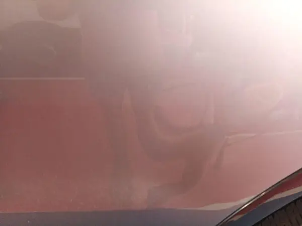 1FTER4FH0LLA53056 2020 FORD RANGER - Image 2