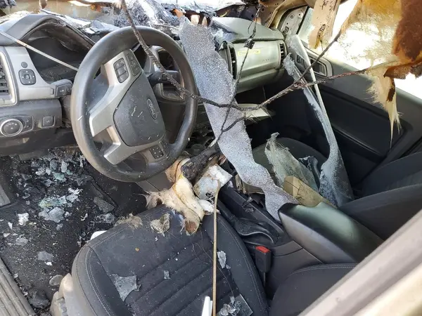 1FTER4FH0PLE05588 2023 FORD RANGER - Image 8