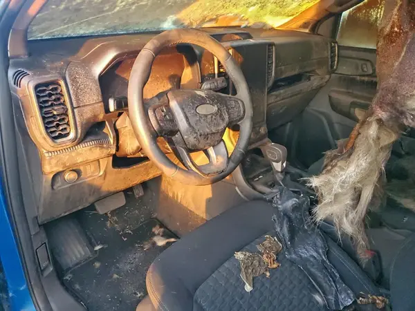1FTER4HH0RLE34346 2024 FORD RANGER - Image 8