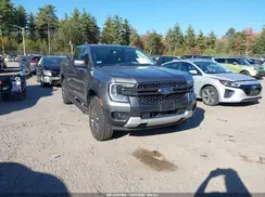 1FTER4HH8RLE22204 2024 FORD RANGER