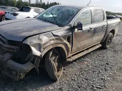 1FTER4HHXRLE40445 2024 FORD RANGER