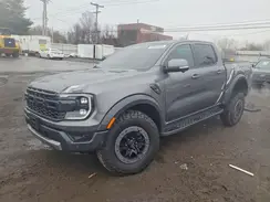 1FTER4LR9RLE12507 2024 FORD RANGER