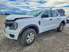 1FTER4PH3RLE34827 2024 FORD RANGER