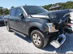 1FTEW1C42LFB69219 2020 FORD F-150